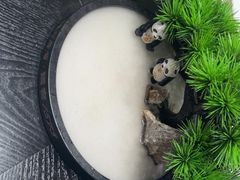 -正晴和酒店(黑龙江路店)