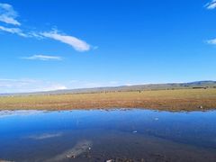 -青海湖国家重点风景名胜区
