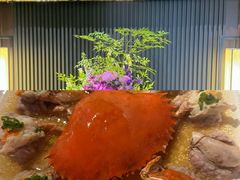-RIVIERA 松鹤楼(外滩店)