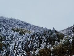 -雪峰寺