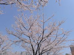 -静安雕塑公园