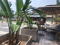 -The Rug Cafe(王府中环店)