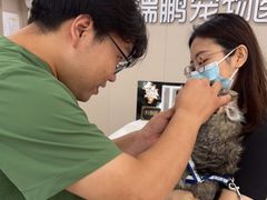 -瑞鹏宠物医院·骨外科·心肾科·肿瘤科(九亭店)