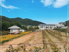 -大连北马山庄