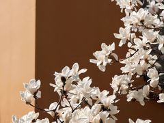 -龙华寺