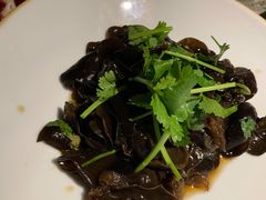 爽口黑木耳-绿茶餐厅(城西银泰城店)