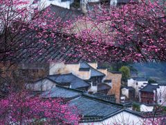-篁岭景区
