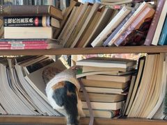 -陶野咖啡·面包披萨