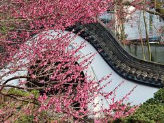 -杭州植物园
