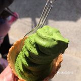 日本游之宇治篇