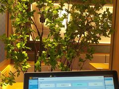 -马记永·兰州牛肉面(3019君尚店)