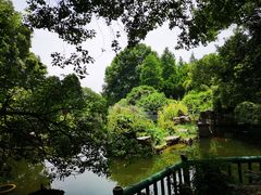 -东湖落雁景区