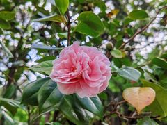 -昆明市金殿名胜区