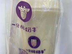 -一只酸奶牛(时代天街A馆店)