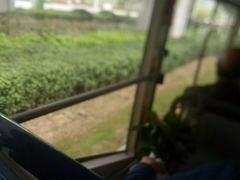 -合肥火车站(地铁站)