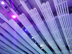 -宁波冰雪大世界(北仑区)