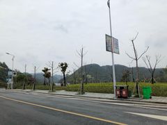 -新安江山水画廊风景区