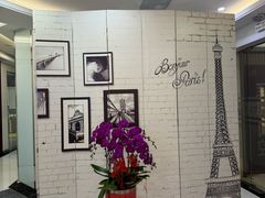 -泰康拜博口腔(世博园乐尔店)