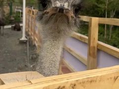 -水上乐园·欢乐世界