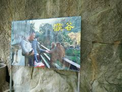 -罗田天堂寨风景区