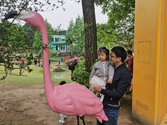 -铁山坪森林公园