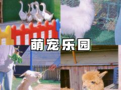 -栖露营camping·天幕烧烤·团建拓展·采摘营地