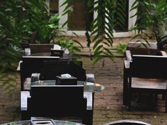 -Fern Forest Cafe