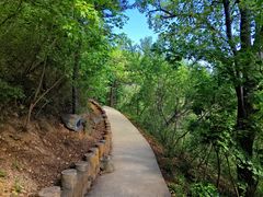 -北京西山国家森林公园