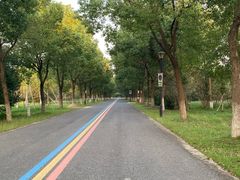 -南湖湿地公园