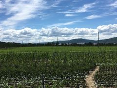 景点-北极村旅游风景区