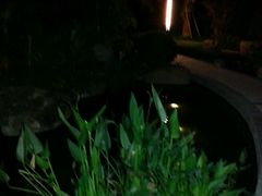-汇雅温泉