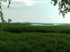 android_upload_pic-白洋淀景区