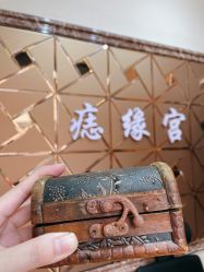 -痣缘宫