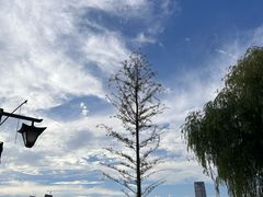 -武昌江滩