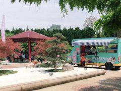 -嘉定紫藤园