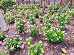 -常州古运河南大街文化旅游区-人民公园