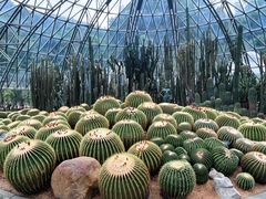 -深圳仙湖植物园