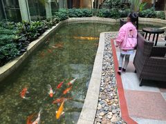 -广州白云机场雅高铂尔曼大酒店