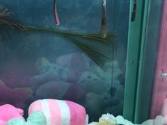 -CIAO·团建聚餐·生日派对轰趴馆(福田店)