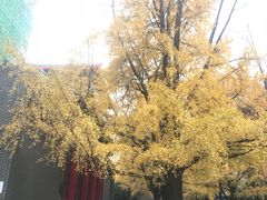 -四川大学(华西校区)