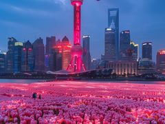 -东方明珠广播电视塔