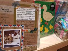 -猫的天空之城概念书店(杭州南宋御街店)