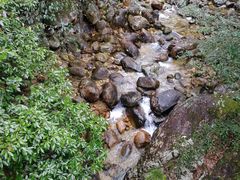 -祁门牯牛降观音堂风景区