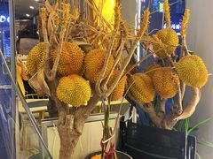 -猫王榴莲世家(三里屯SOHO商场店)