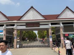 -上海都市菜园