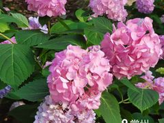 -常州古运河南大街文化旅游区-人民公园