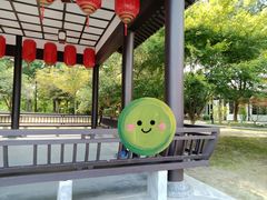 -东台西溪天仙缘景区