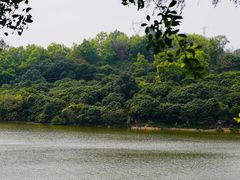 -火炉山森林公园