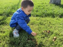 -汉长安城未央宫国家考古遗址公园