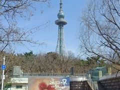 -青岛中山公园-索道售票处